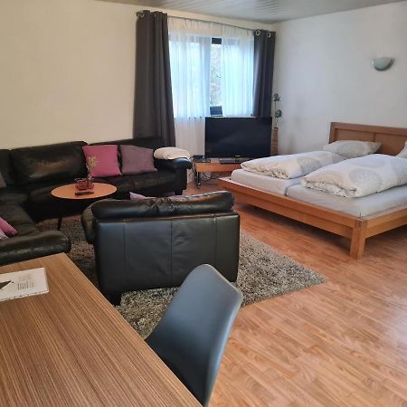 Apartment Zum Wohlfuehlen In Ruhiger Lage Pfungstadt Eksteriør billede