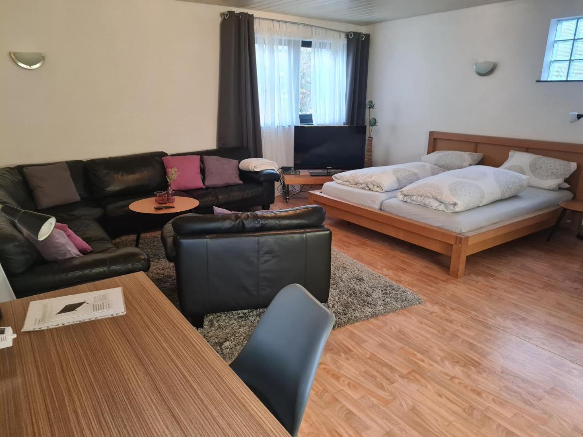 Apartment Zum Wohlfuehlen In Ruhiger Lage Pfungstadt Eksteriør billede