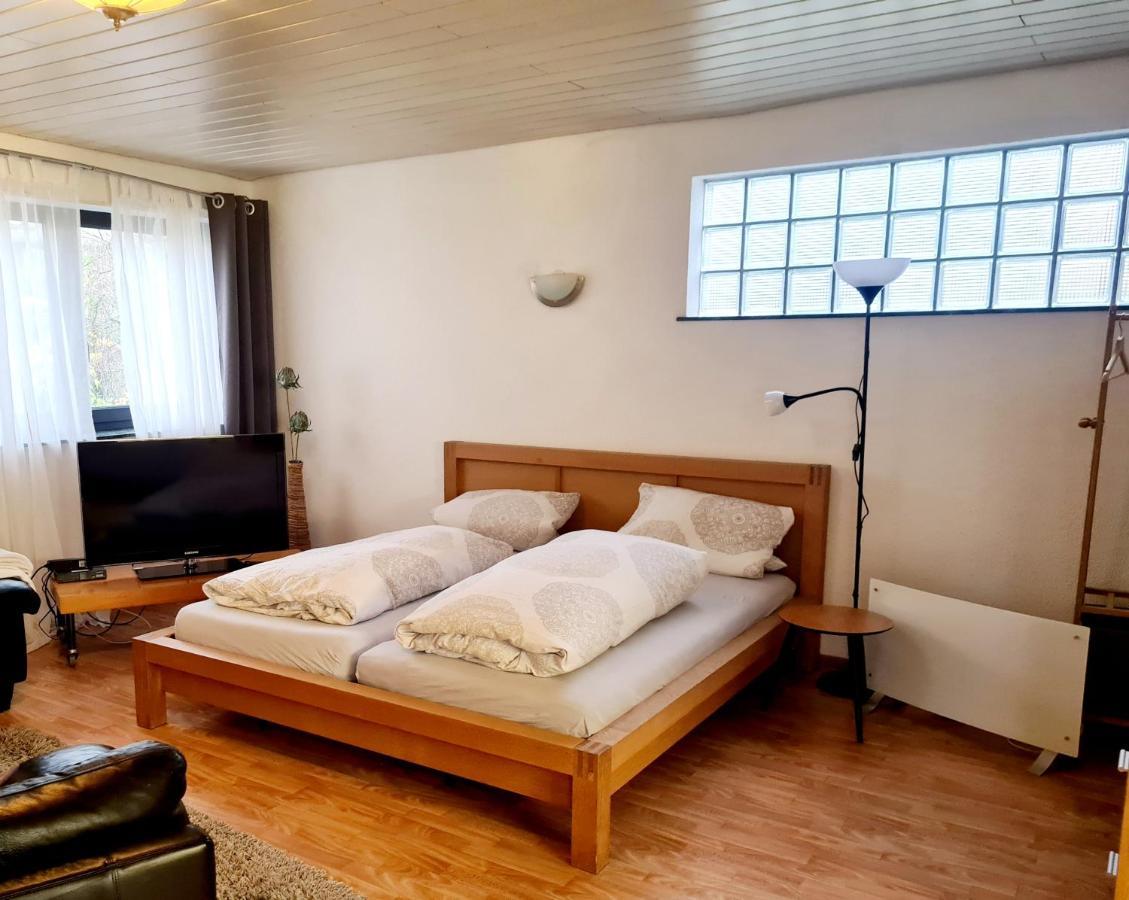Apartment Zum Wohlfuehlen In Ruhiger Lage Pfungstadt Eksteriør billede